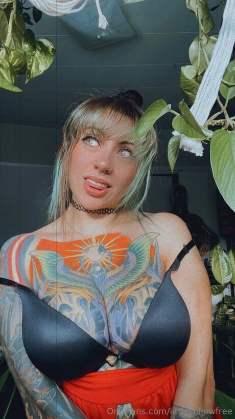 dmv onlyfans xxx photo