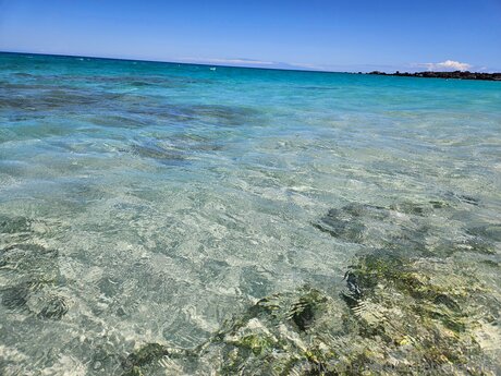 Bulletvalentina nudes model images