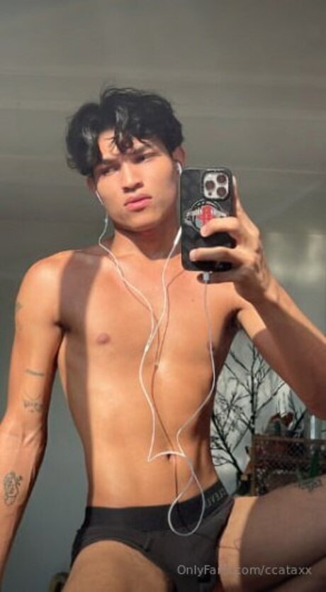 Ccataxx adult model image