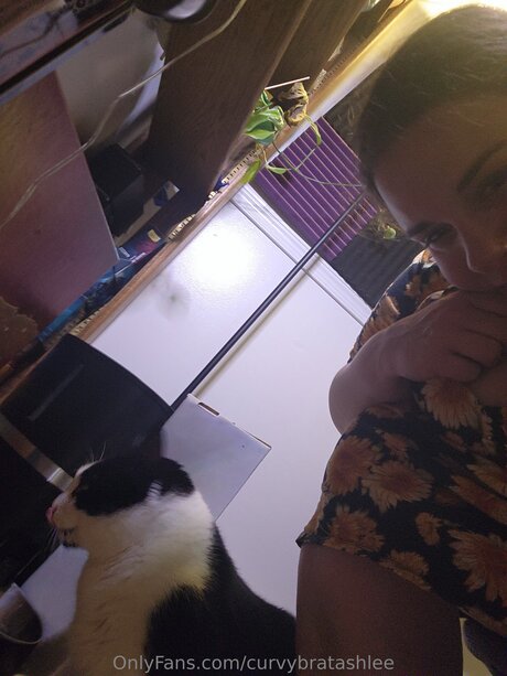 Curvybratashlee beautiful pornstar images