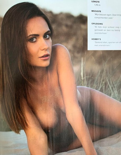 Megan desaever pornstar art image