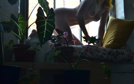 sophiasmokes perfect model picture