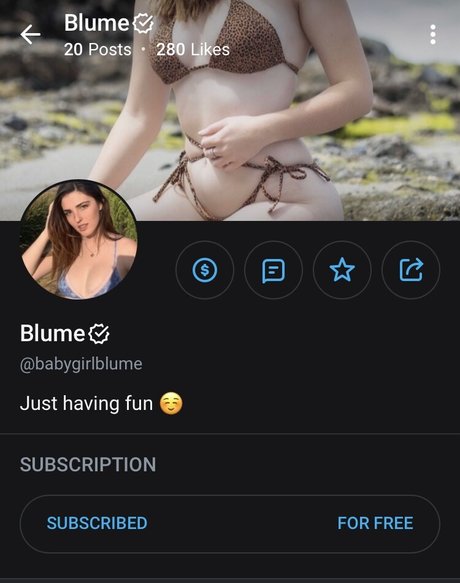 Blume best pornstar picture
