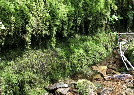 UnicornButtStuff erotic actress picture