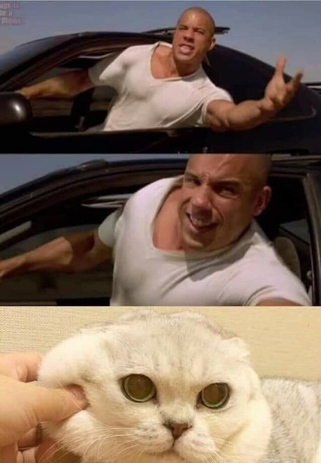 kuroshiika pornstar erotic galleries