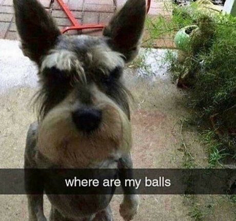 kuroshiika high quality actress photo