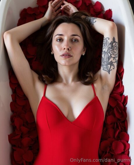 Dani Purrre sexy star galleries