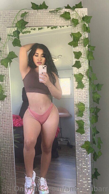 Americabarr beautiful actress image