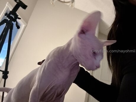 Nayohmii high quality actress pic