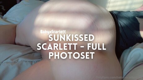 Babyxscarlettfree pornstar exclusive galleries