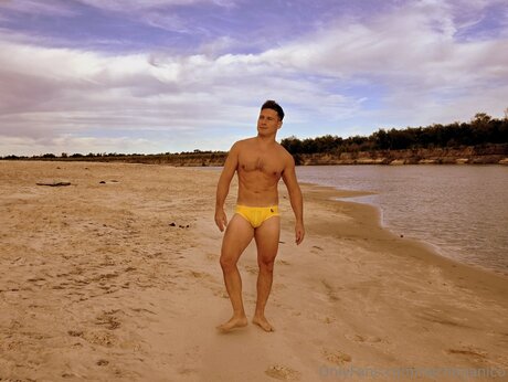 Nachoganico high quality star gallery