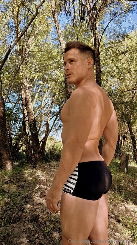 Nachoganico star art galleries