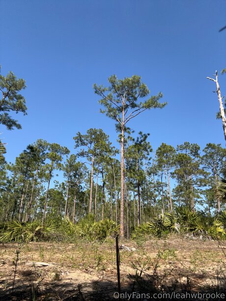 Leahwbrooke star perfect galleries