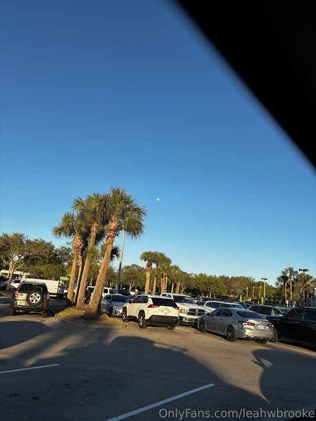 Leahwbrooke sexy pornstar image