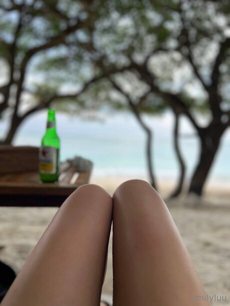 Emilylu nude star image