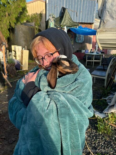 Certifiedsweetiepie model sex image