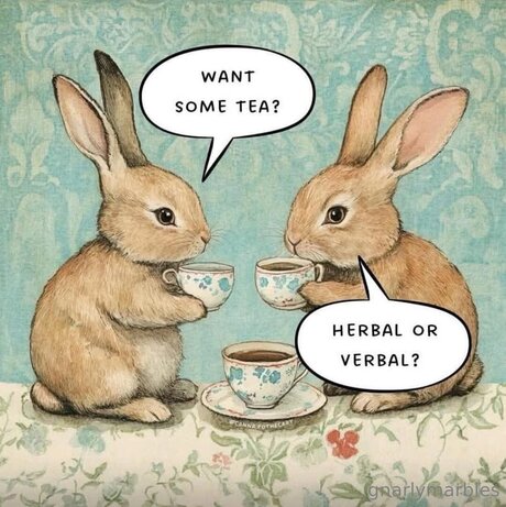 Gnarlymarbles pornographic star photos