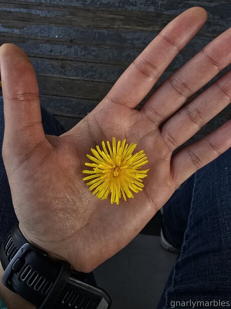 Gnarlymarbles naked model image