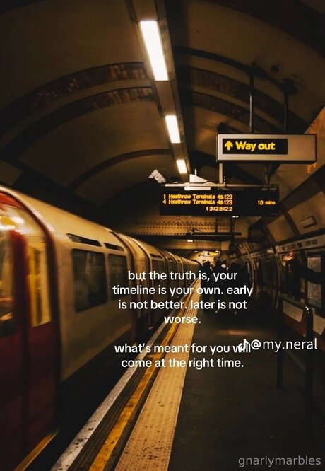 Gnarlymarbles high quality star galleries