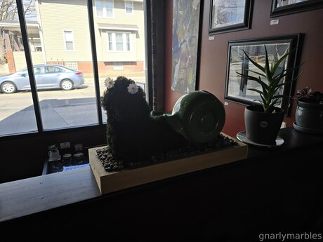 Gnarlymarbles perfect pornstar photo