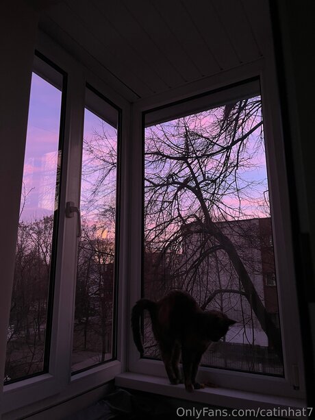 Catinhat7 naked star archive