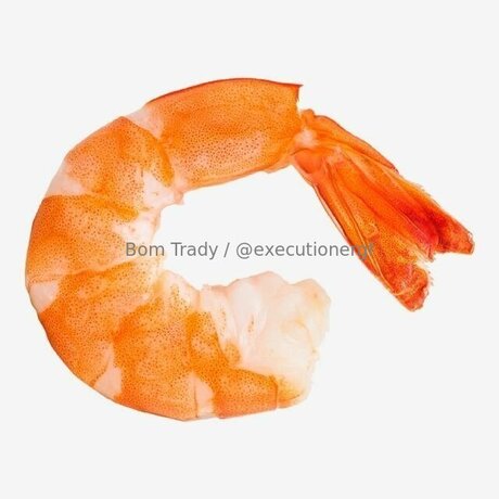 Executionergf free pornstar pics