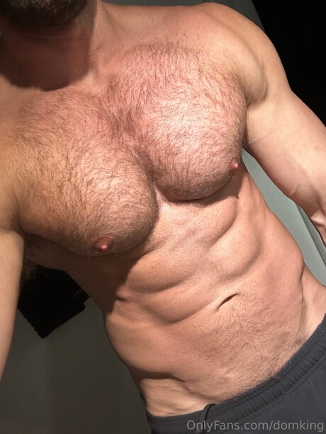 Domking model high quality image