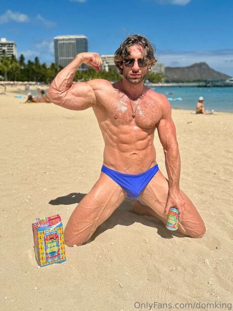 Domking sexy pornstar picture