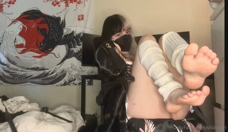 Shibawri pornstar erotic img