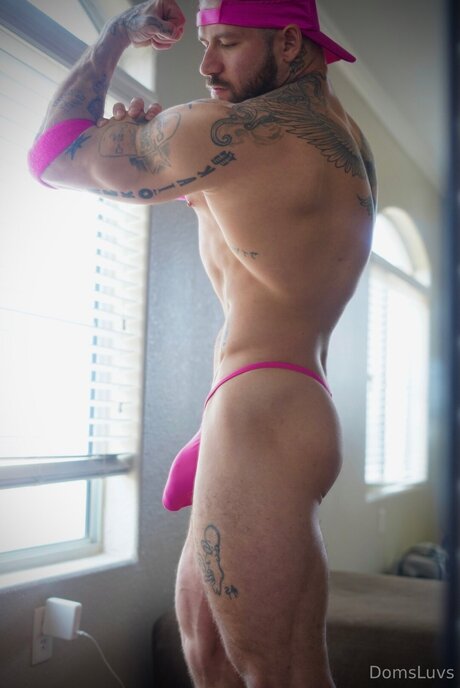 Domsluvz star beautiful gallery