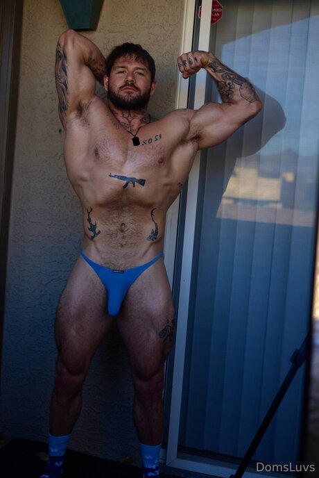 Domsluvz art model archive