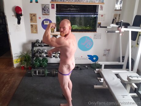 Jarvisstewart hd model images