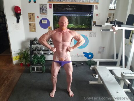 Jarvisstewart pornstar top archive