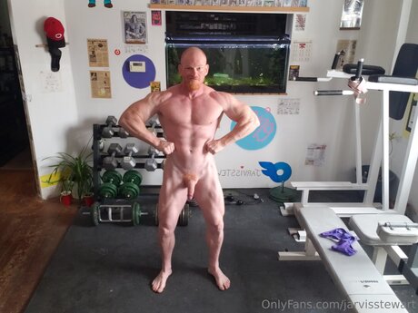 Jarvisstewart xxx star images