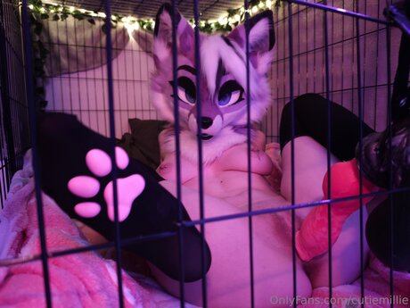 Cutiemillie pornstar perfect picture