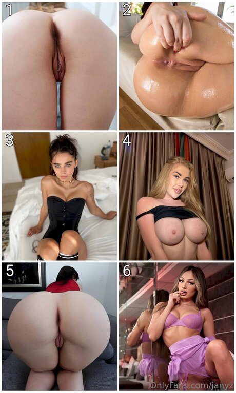 Janyz art star archive