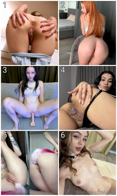 Janyz star perfect galleries