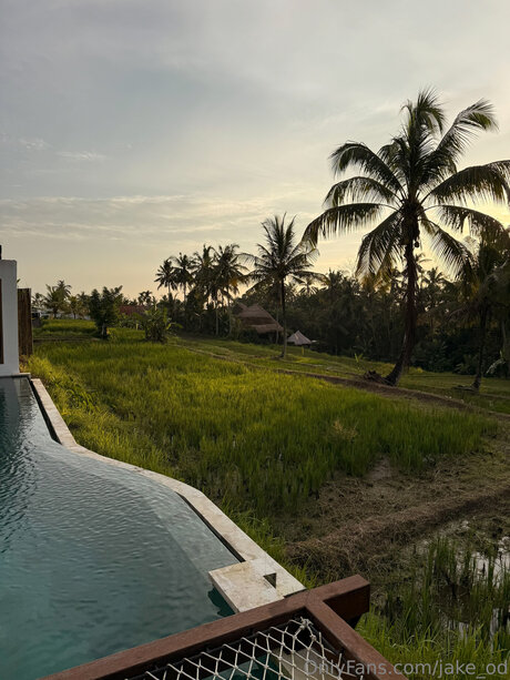 Jake Od star porn image