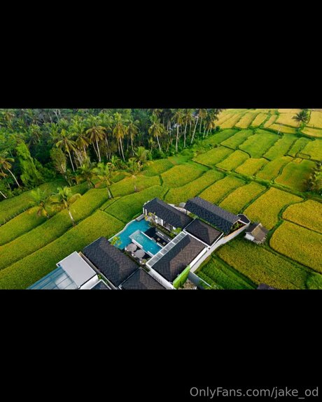 Jake Od best pornstar archive