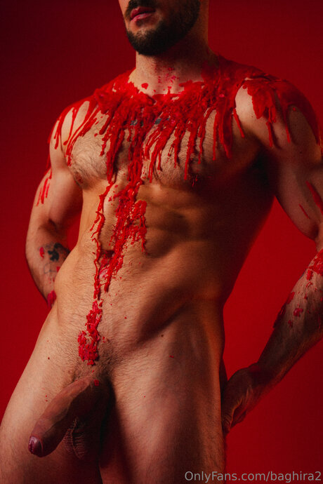 Baghira2 top model picture