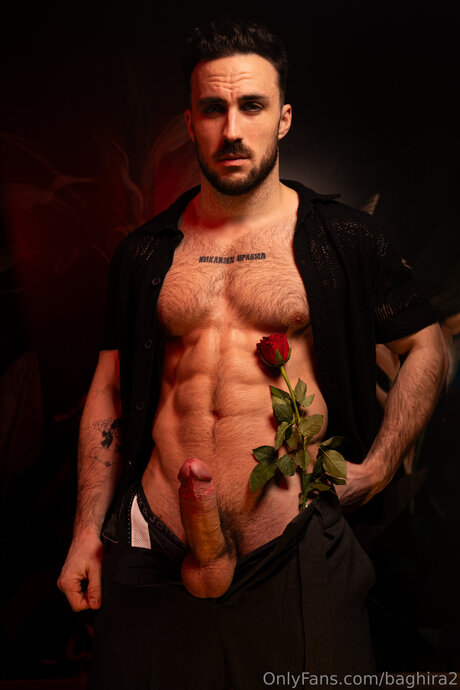 Baghira2 beautiful pornstar gallery