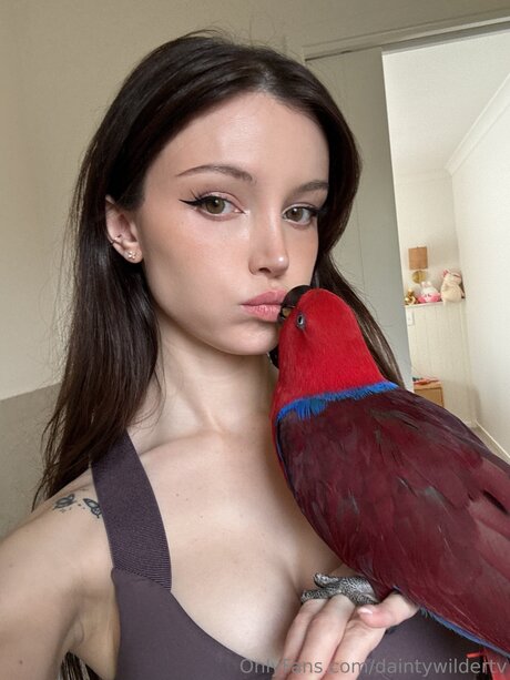 Daintywildertv sex pornstar pictures