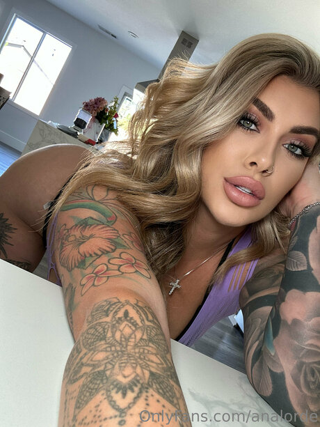 Analorde exclusive pornstar gallery