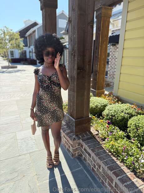 Ebonybuttspremium star high quality photos