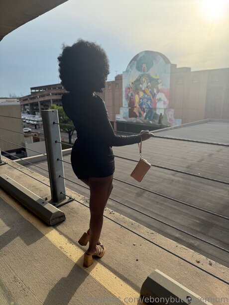 Ebonybuttspremium top star images