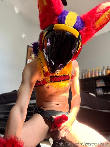 Zestyzekead pornstar exclusive img