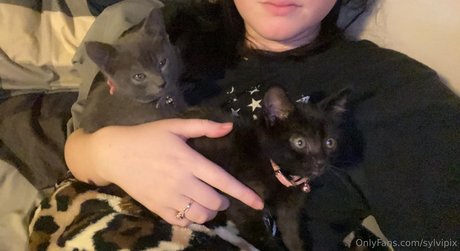 Sylvipix Young Goth Milf pornstar nudes image