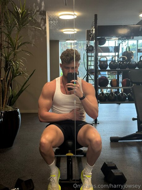 Harryjowsey hot model picture