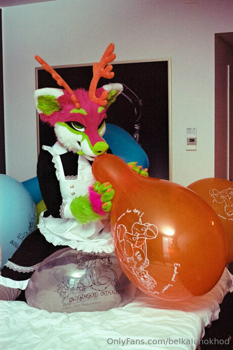 Belkalunokhod beautiful star gallery