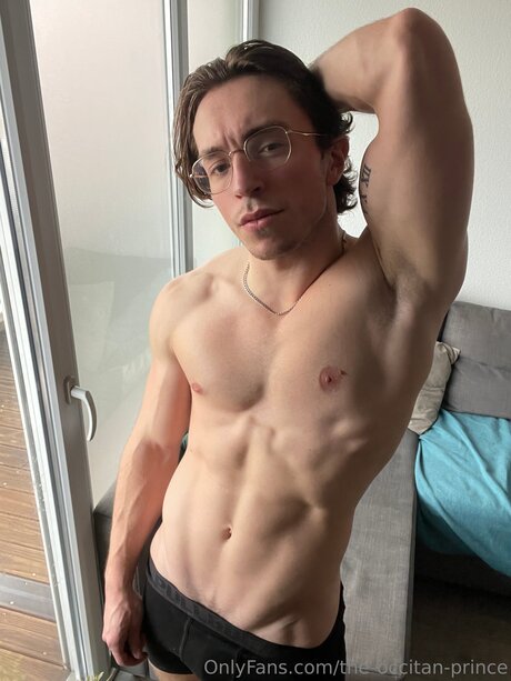 The Occitan Prince art star galleries